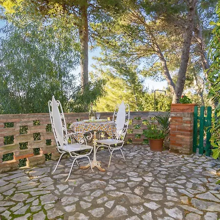 Terrazzina By Interhome Lejlighed Rosignano Marittimo